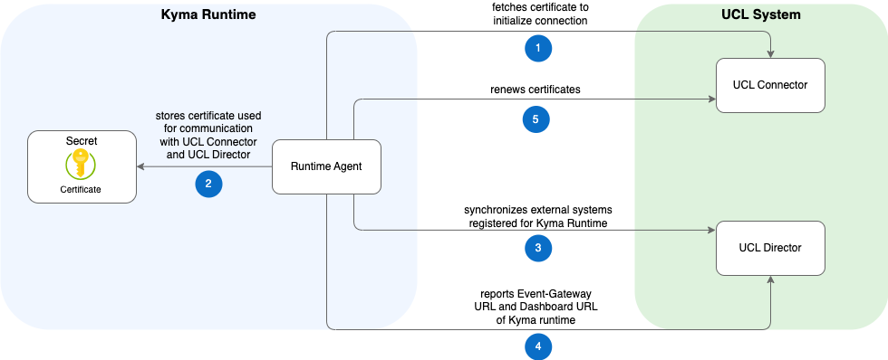Runtime Agent architecture